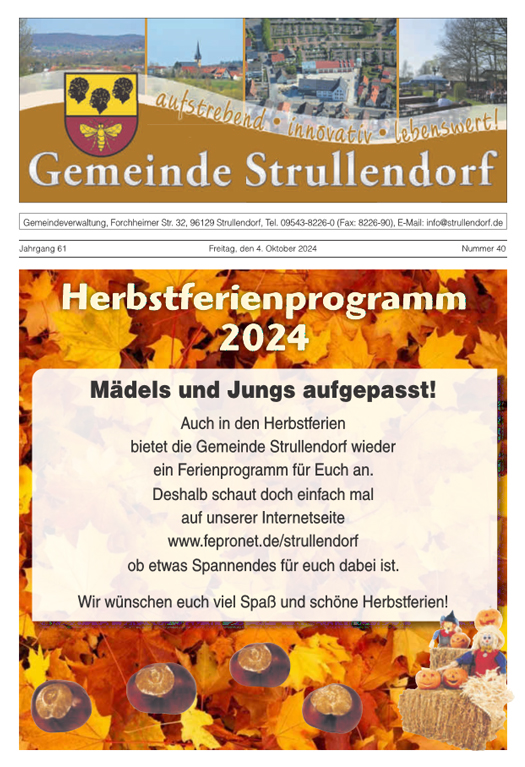 PDF-Download - hier klicken!